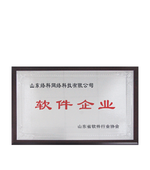 软件企业
