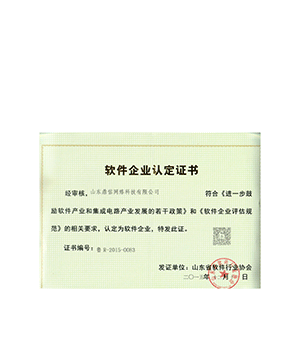 软件企业认定证书