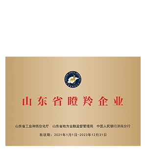 广东省瞪羚企业